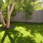 Large tree with branches and grass, showcasing plumbing issues from spring plant growth for Charles Krull & Son.
